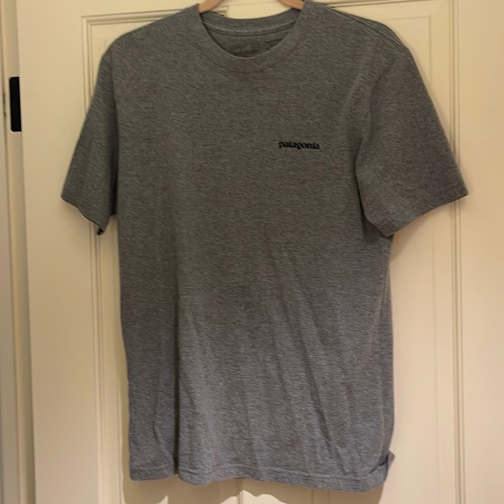 Mens Patagonia tee